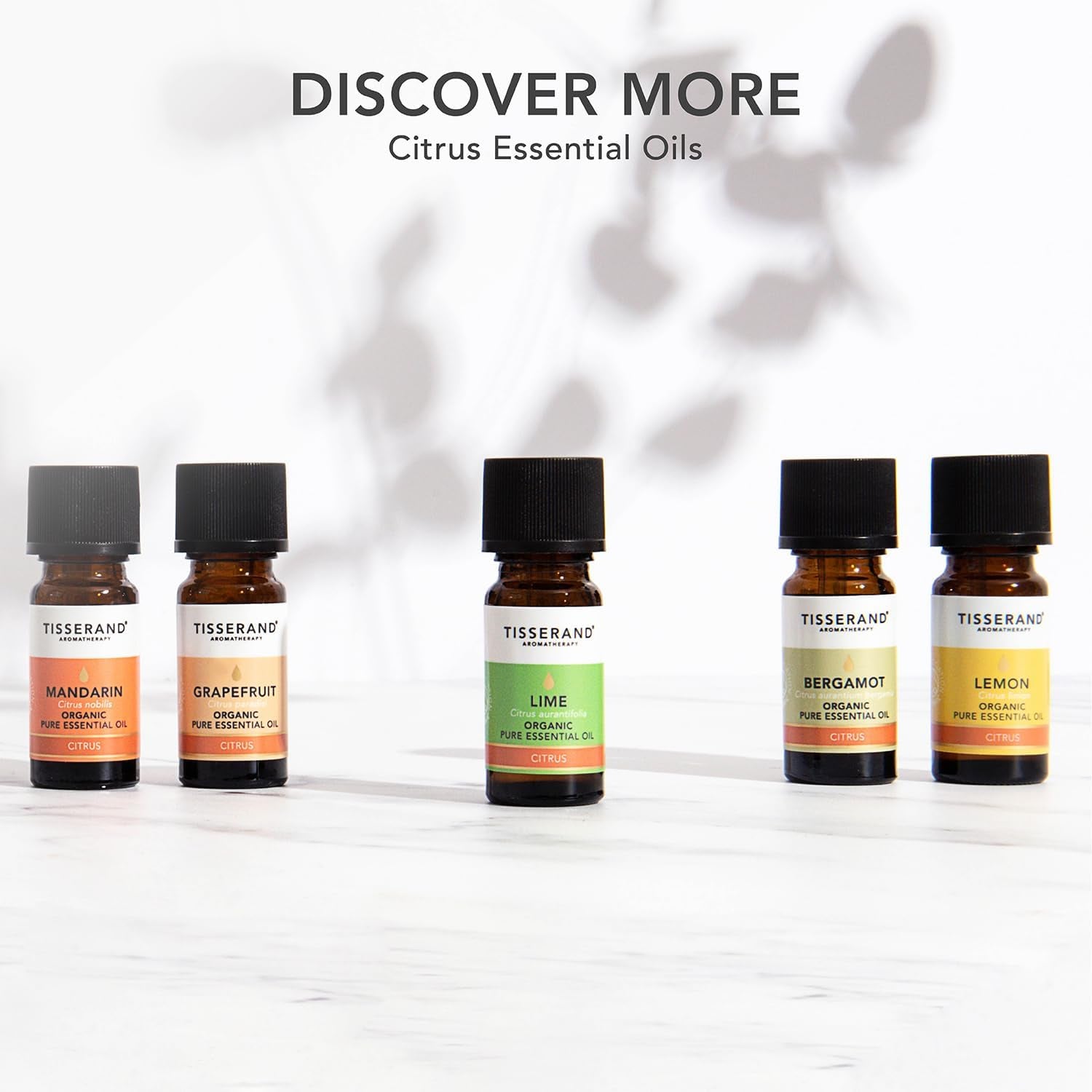 Bergamot Organic Essential Oil - 9Ml
