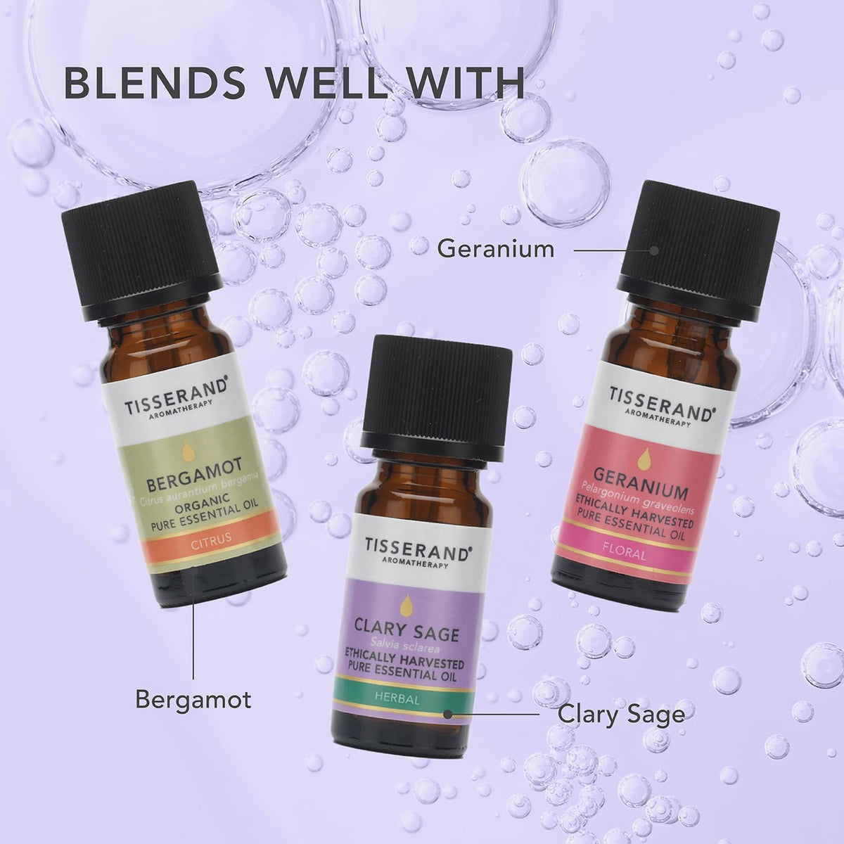 Lavender Ethically Harvested Essential Oil - 20Ml