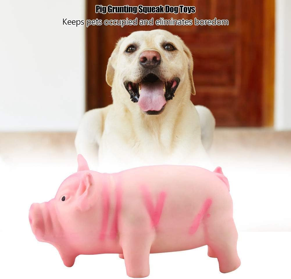 Latex Pig Soft Chew Dog Toy, Squeaky Pig Dog Toys, Pink Latex Puppy Toy Honking Pet Chew Grunting Toy Squeaky Dog Toys Latex Dog Toys Pet Chew Interactive Toys Dog Water Toys for Puppy Small Dog(Pink)