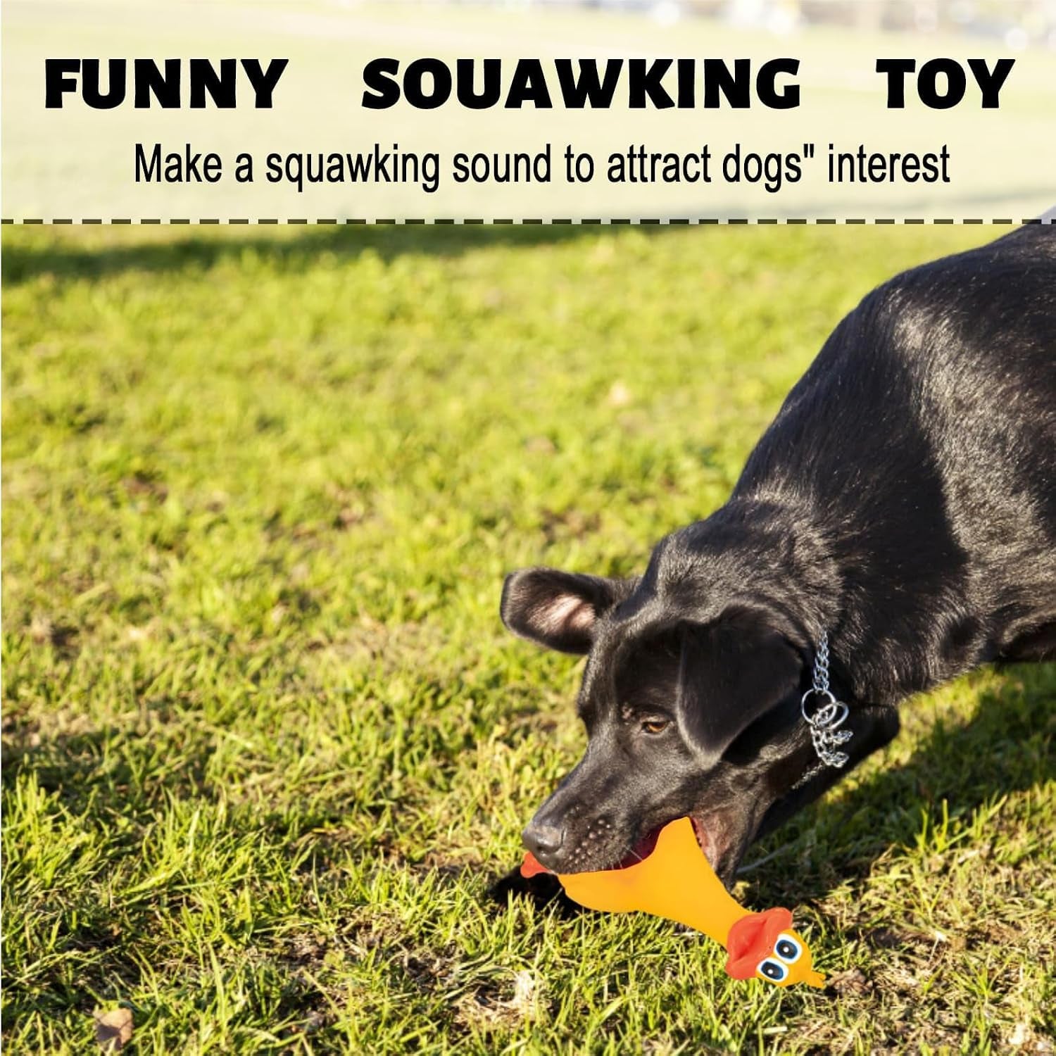 3Pcs Rubber Dog Toys, Squeaky Dog Toys, Rubber Chicken Duck Toys Sound Latex Duck Toy for for Family Interaction Pets Home Pool