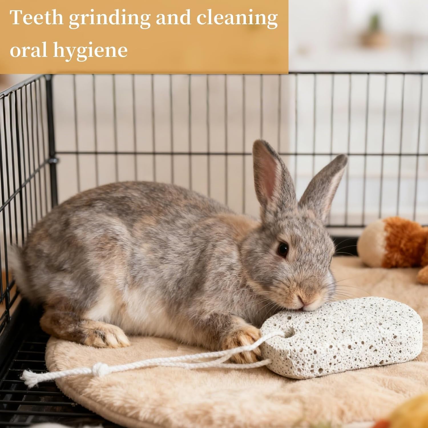 6 Pcs Pet Teeth Grinding Lava Blocks Hamster Rabbit Chinchilla Chew Toysdental Care Mineral Stone Small Animals Enrichment Accessories for Parrot Rabbit Hamster Rat Chinchilla