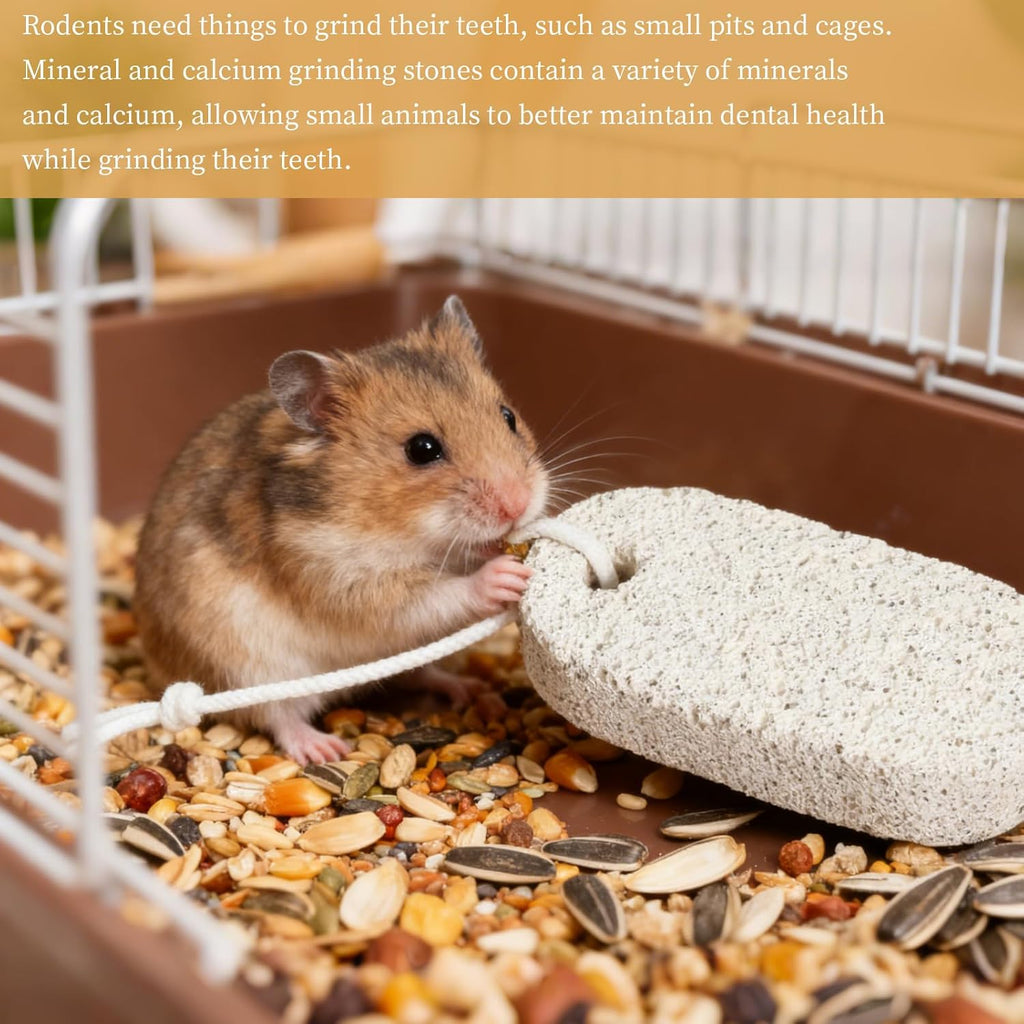 6 Pcs Pet Teeth Grinding Lava Blocks Hamster Rabbit Chinchilla Chew Toysdental Care Mineral Stone Small Animals Enrichment Accessories for Parrot Rabbit Hamster Rat Chinchilla