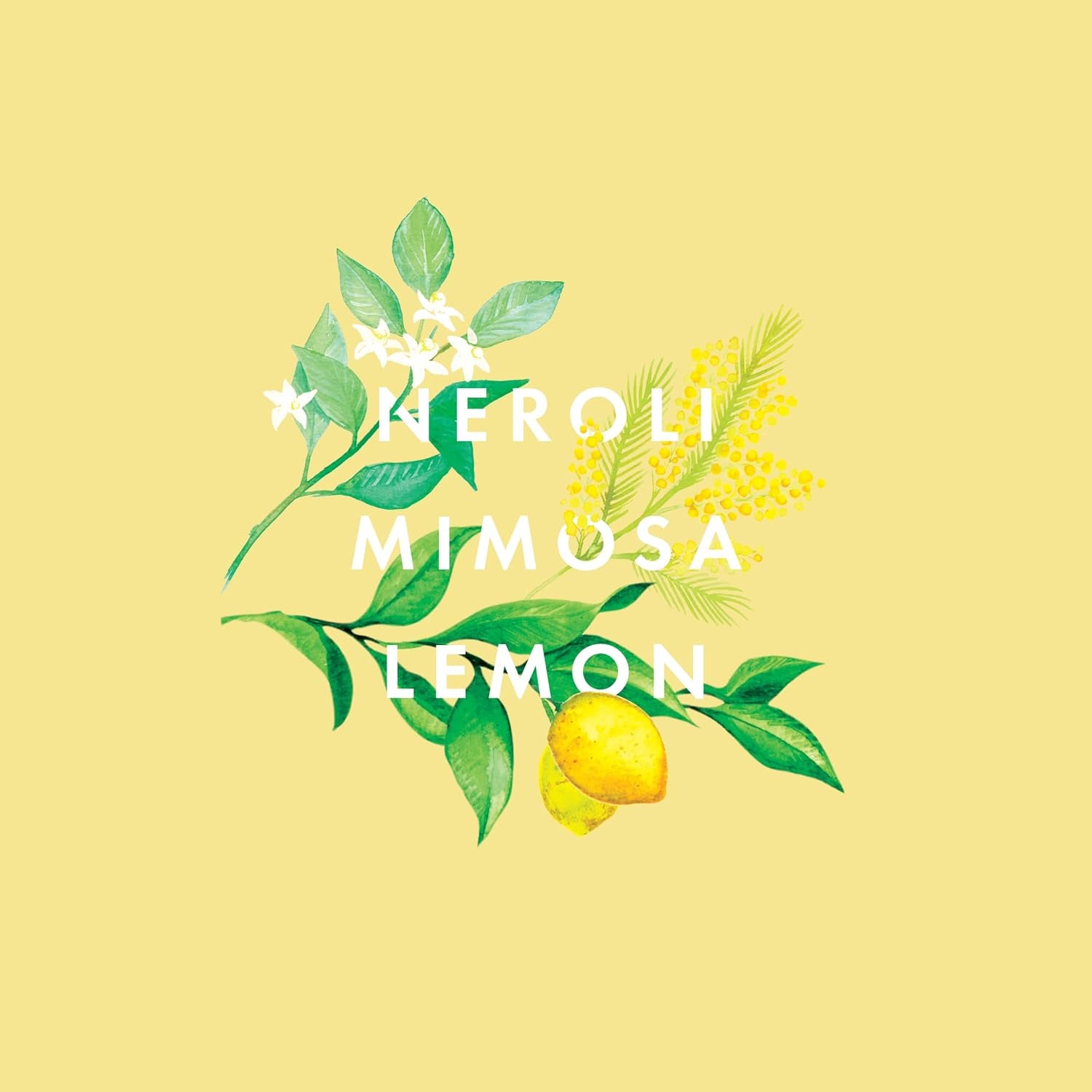 - Happiness Essential Oil Blend, 10Ml | Neroli, Mimosa & Lemon | Scent to Make You Happy Range