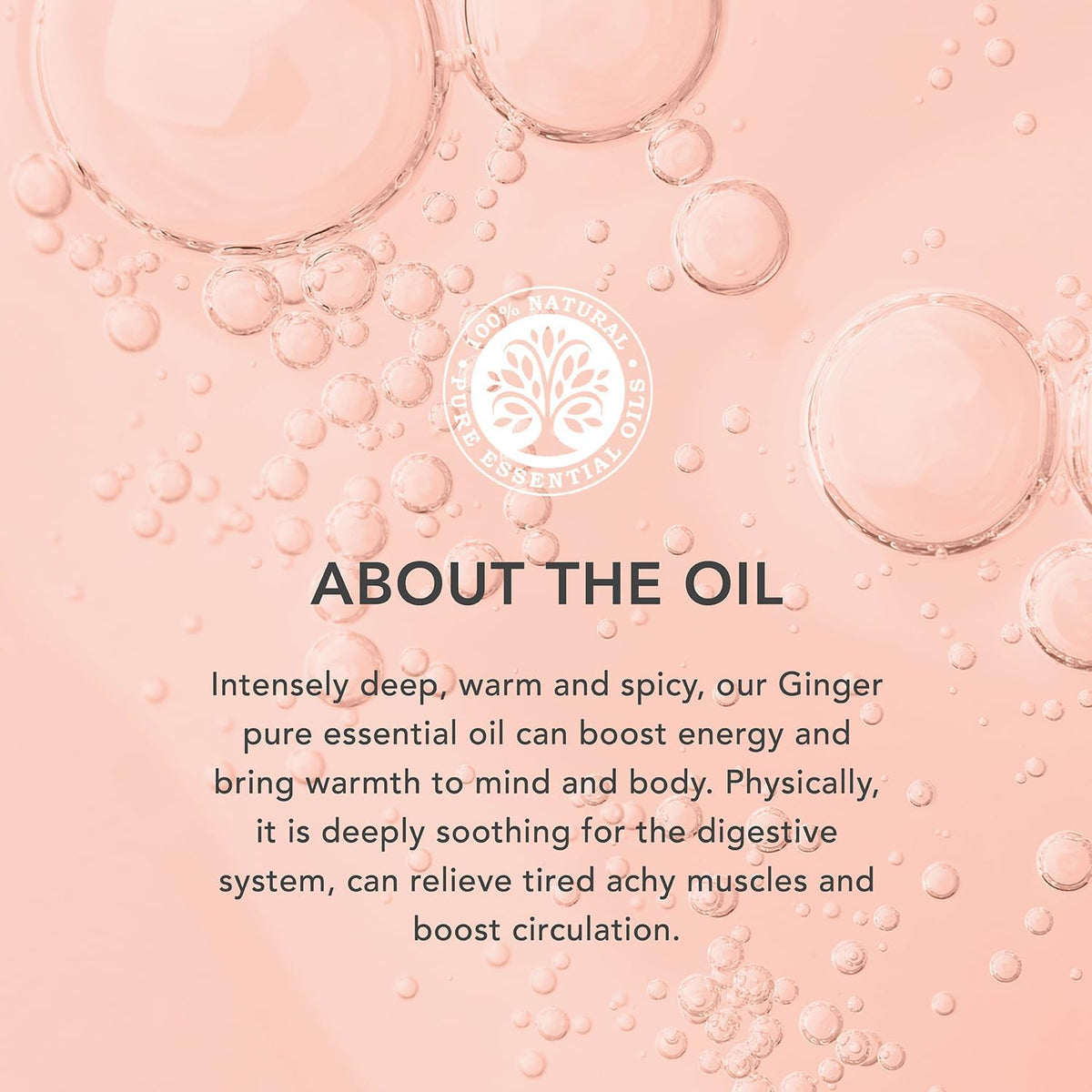 Ginger Organic Essential Oil - 9Ml