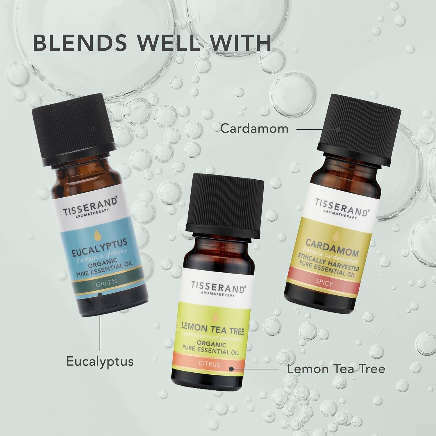 Marjoram Spanish Wild Crafted - 9Ml