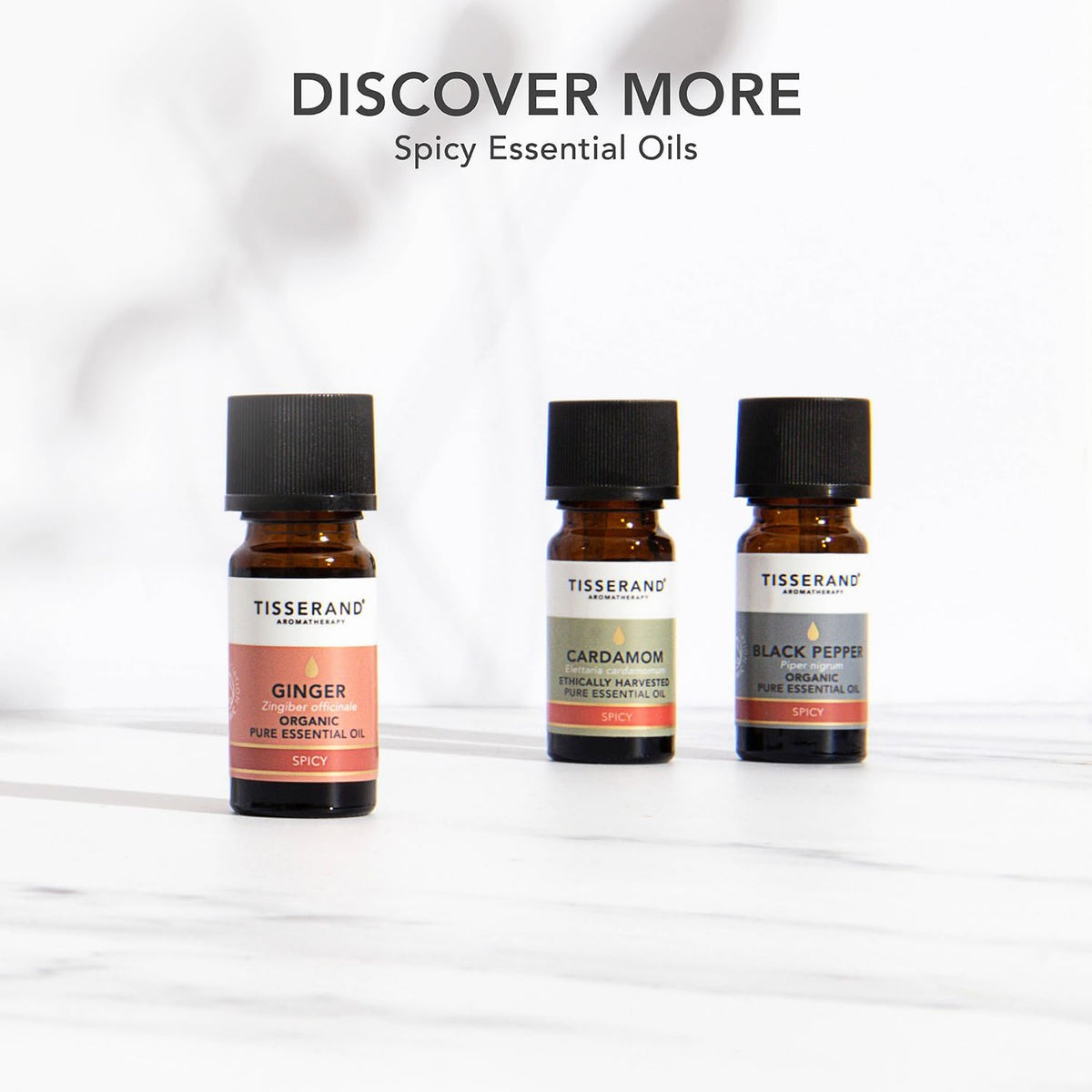 Ginger Organic Essential Oil - 9Ml
