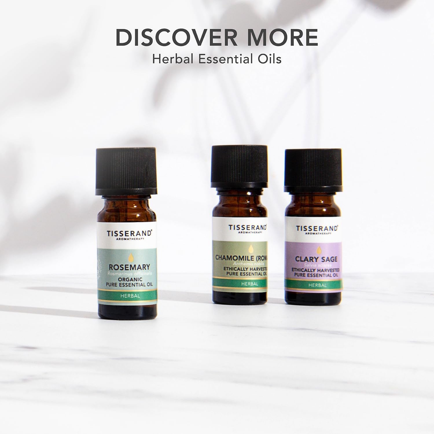 Marjoram Spanish Wild Crafted - 9Ml